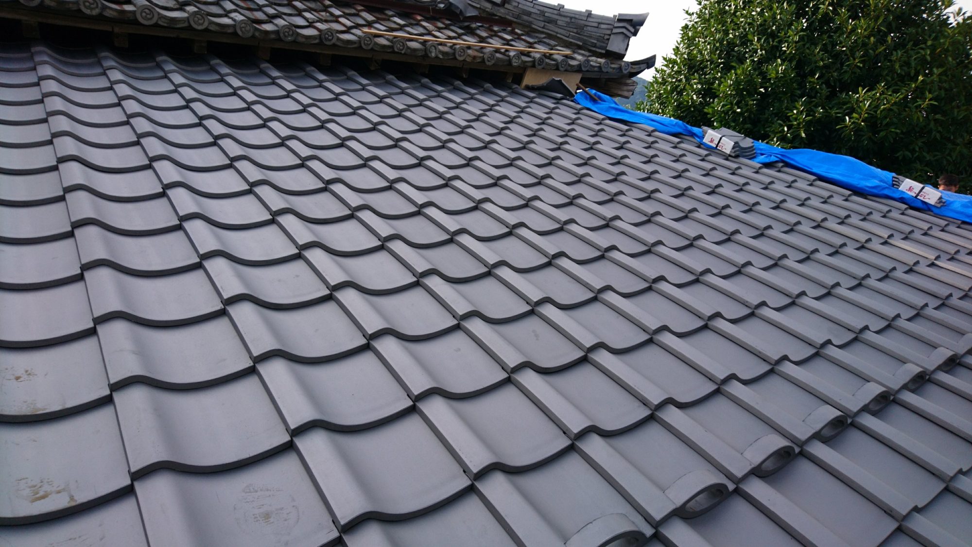岐阜市のお寺で屋根の改修工事しています。
